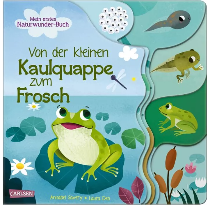 Von der kleinen Kaulquappe zum Frosch