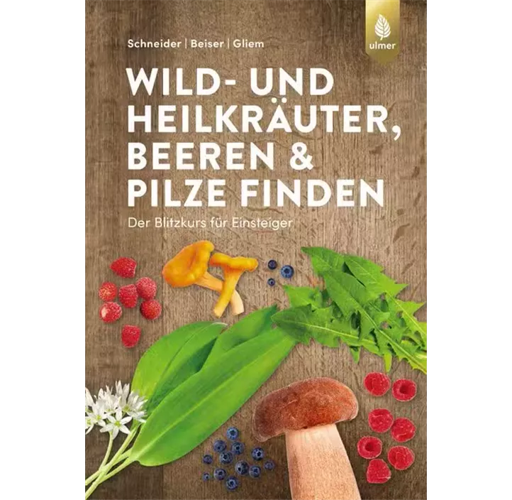 Wild- und Heilkräuter, Beeren & Pilze finden