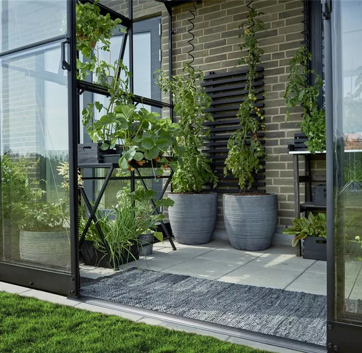 mit 3 mm Sicherheitsglas, 188 x 251 x 189 cm