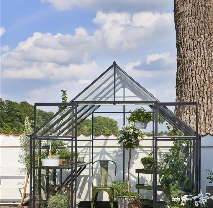 mit 3 mm Sicherheitsglas, 261 x 261 x 135 cm