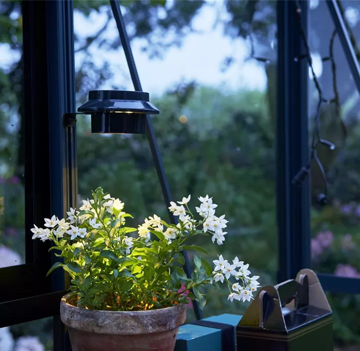 Solar Lampe LED für Gewächshäuser
