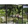 bellaflora Gartencenter GmbH