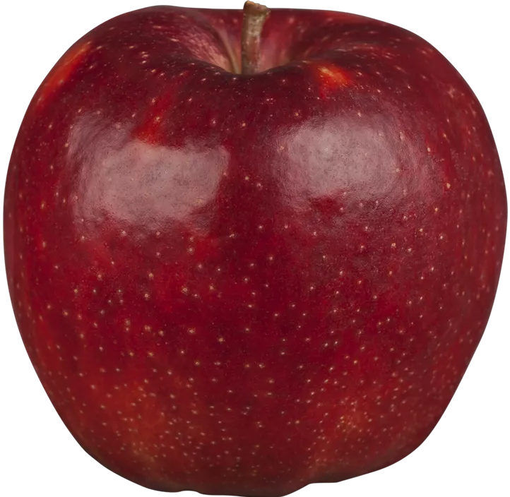 Apfel Apfel