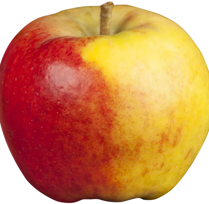 Apfel Apfel