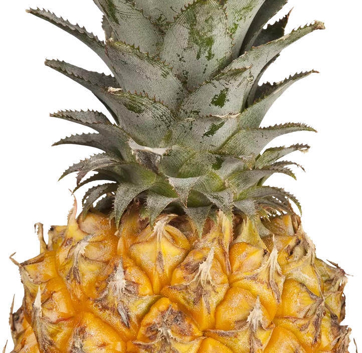 Ananas