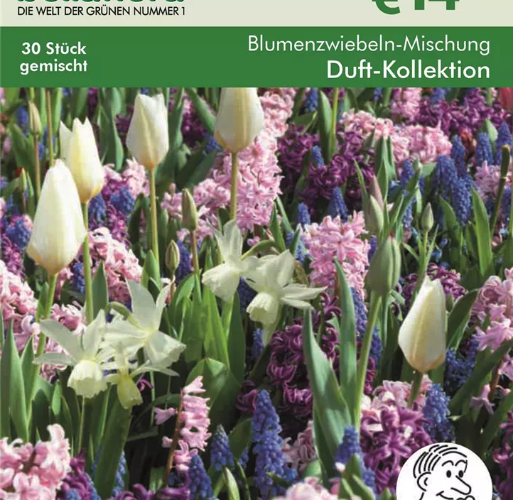 Blumenzwiebel Duft-Kollektion