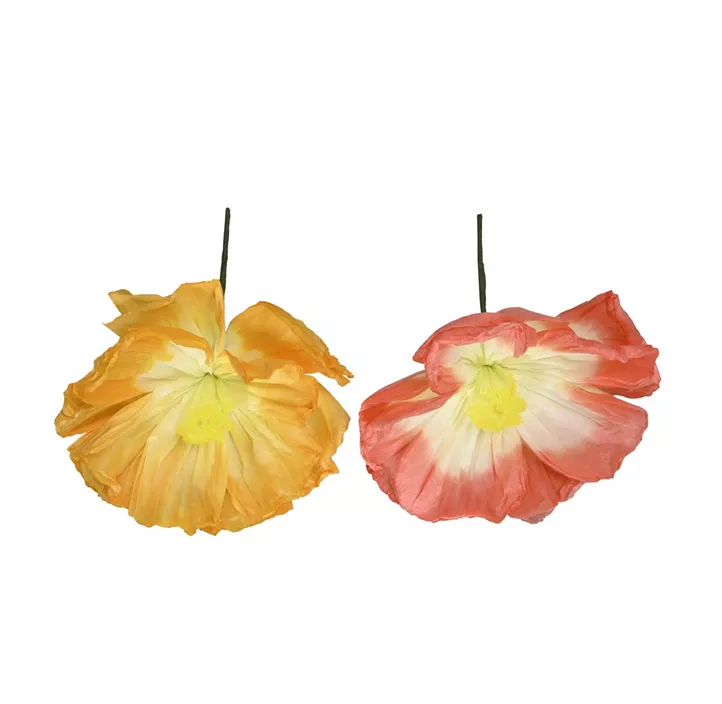Blüte zum Hängen