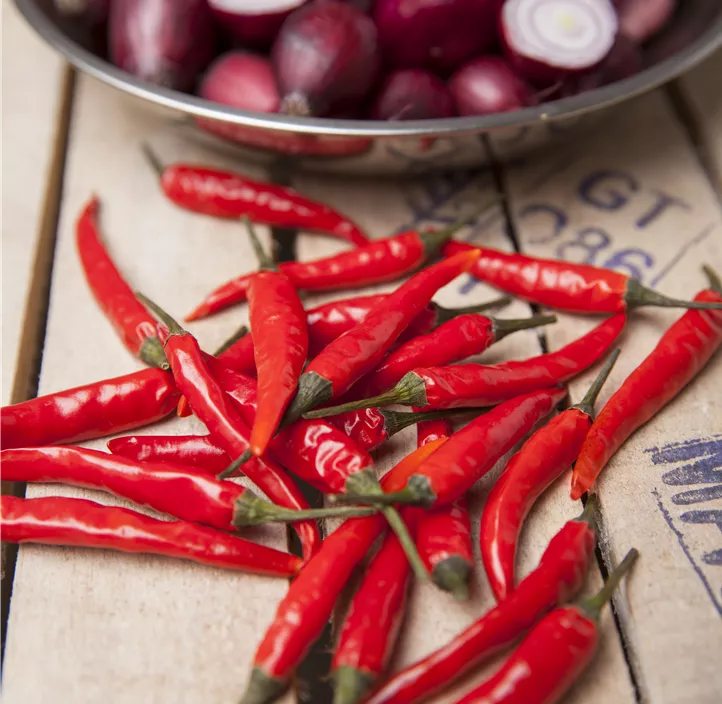 Chili Scorpion chocolate Chili Scorpion chocolate