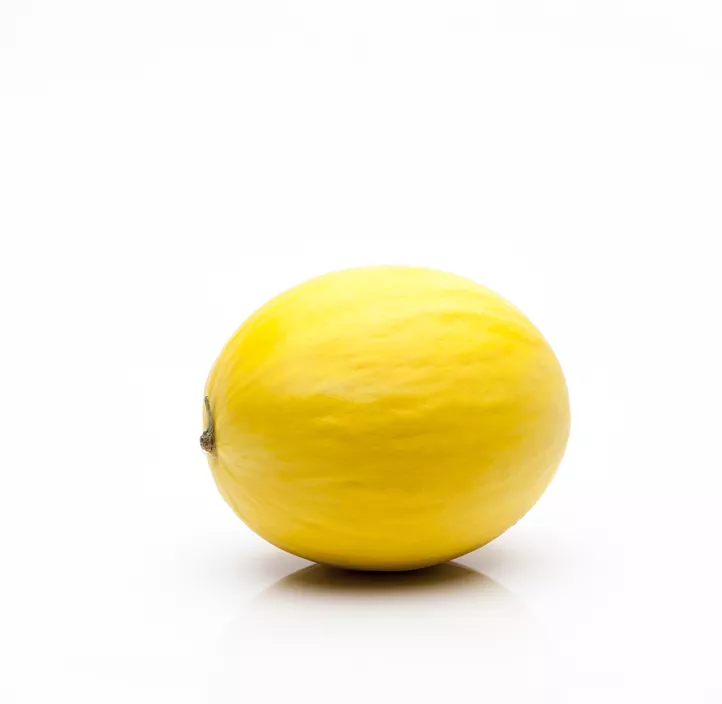 Honigmelone