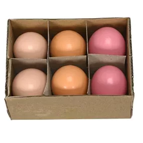 Hühnereier 6 Stk.