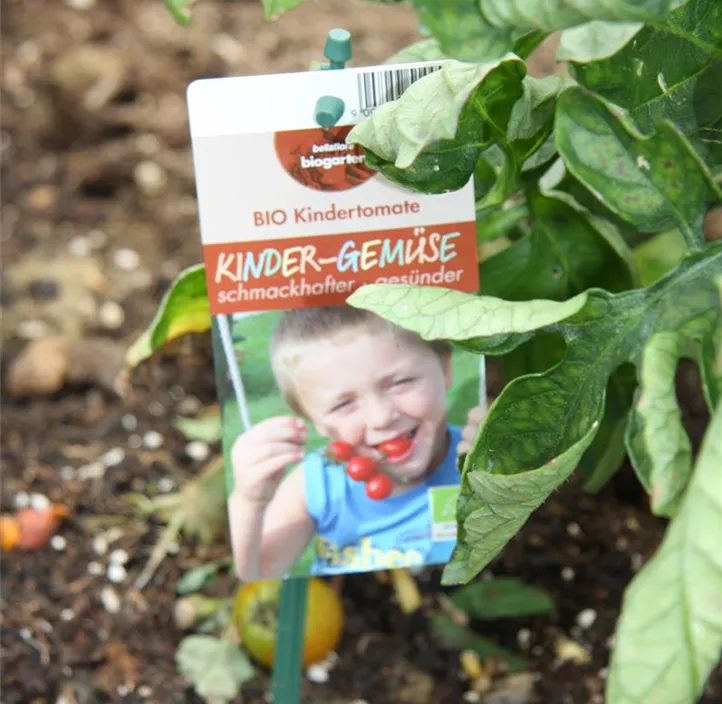 Kindertomate Kindertomate
