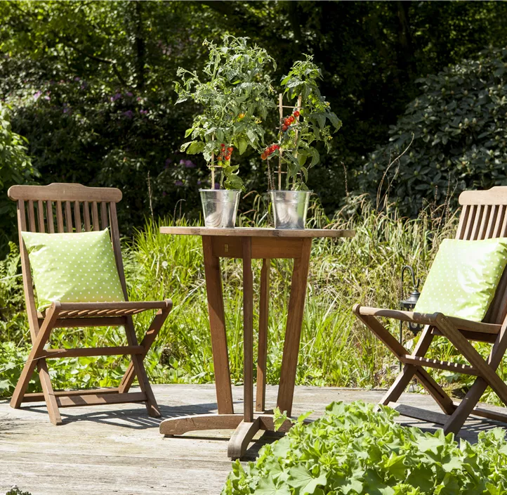 Snacktomate Snacktomate