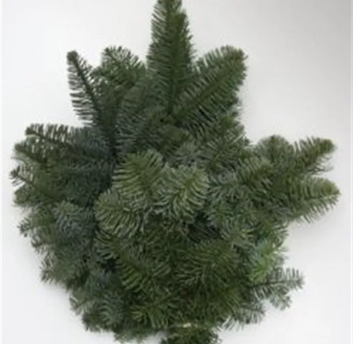 Nordmanntannen Reisig, 3kg