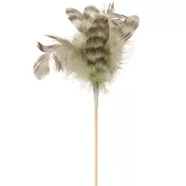 Perlhuhnfedern am Stab