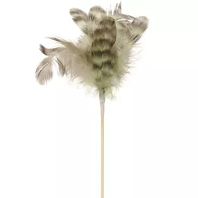 Perlhuhnfedern am Stab