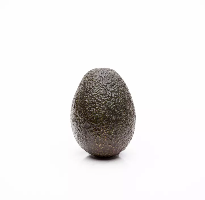 Avocado Avocado