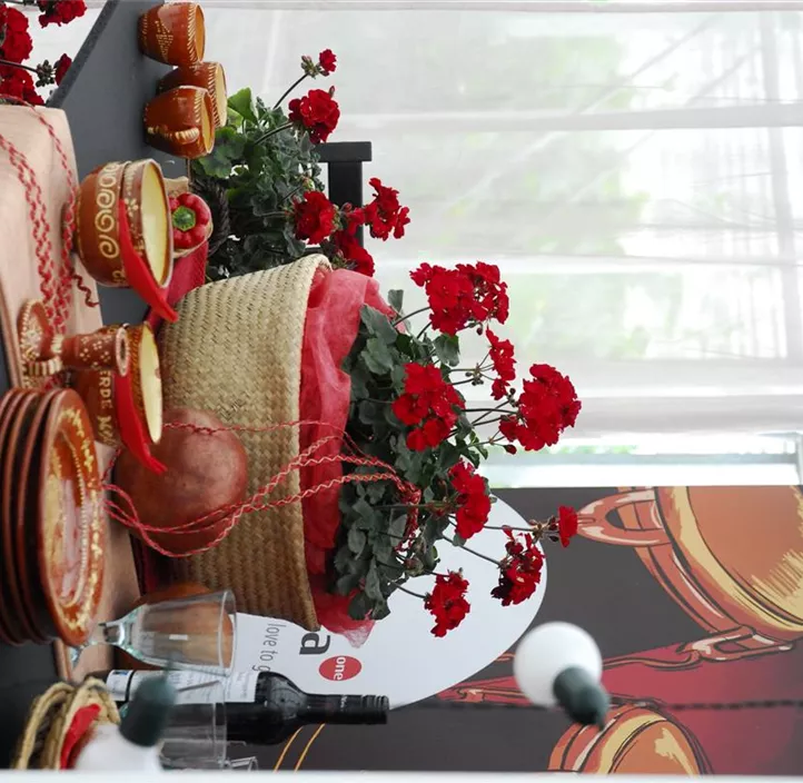 Zonal-Pelargonie 'Moonlight® Tumbao®' Zonal-Pelargonie 'Moonlight® Tumbao®'