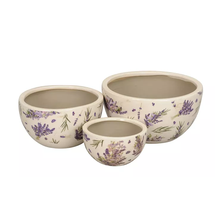 Schale Lavendel