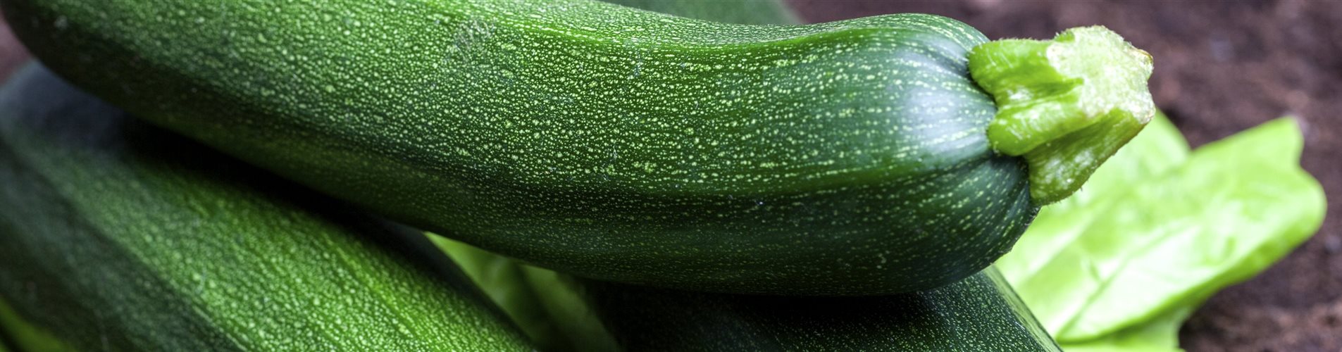 Cucurbita pepo subsp. pepo convar. giromontiina