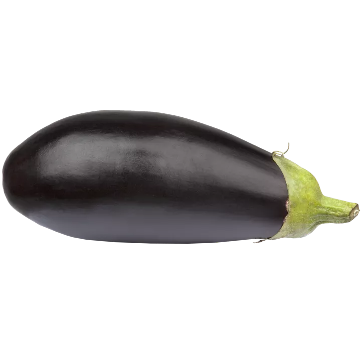 Aubergine