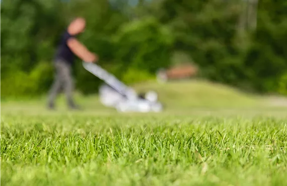 Gartenarbeit - gemähter Rasen Gartenarbeit - gemähter Rasen