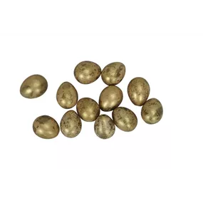 Wachteleier 12er Box