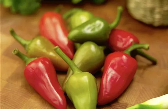 BIO Chili__27B_CZI0013.jpg BIO Chili__27B_CZI0013.jpg
