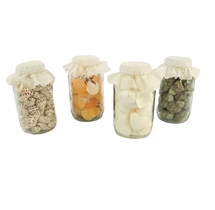 Muscheln Paradis Mix in Glas