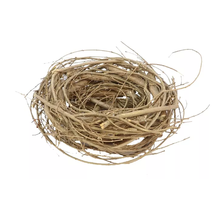 Zweige Nest Mormon