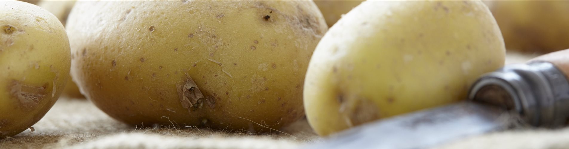 Kartoffeln im Korb Kartoffeln im Korb