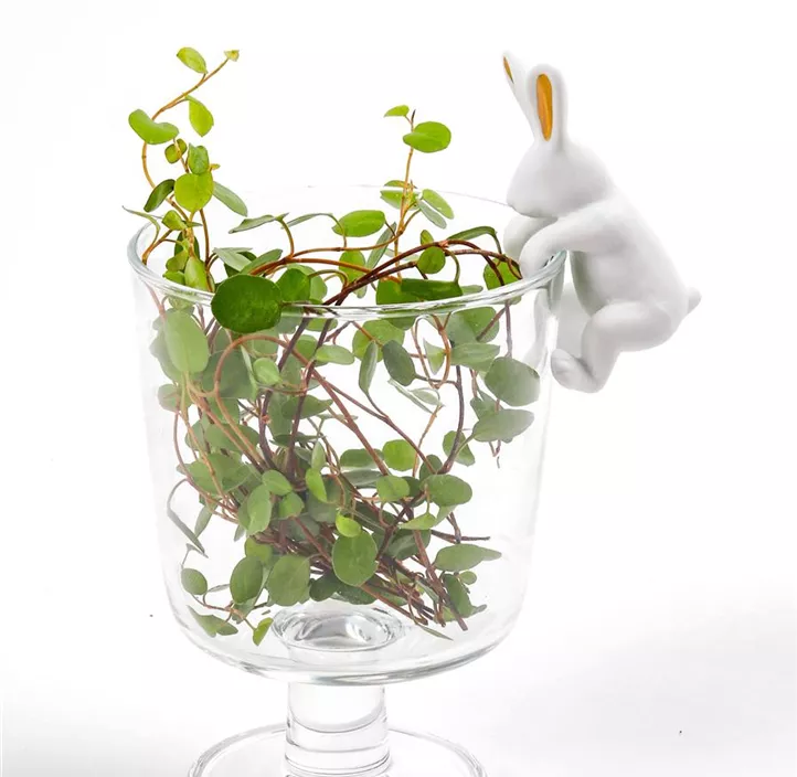Porzellan Kletterhase
