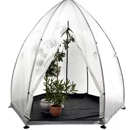 Foliengewächshaus Tropical Island L Foliengewächshaus Tropical Island L