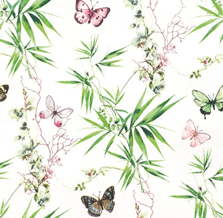 Serviette, Akira (2021)