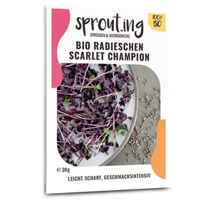 BIO Sprouting Radieschen Scarlet Champion