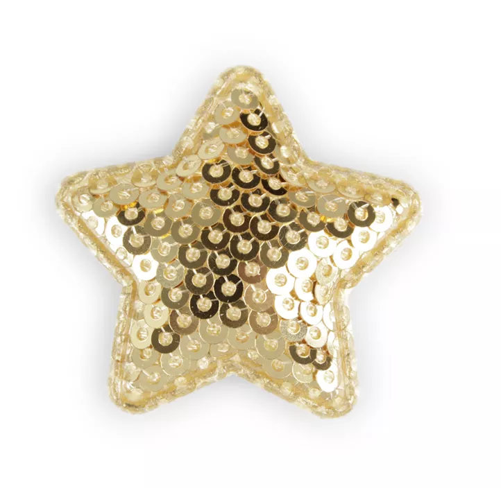 Stern Pailletten 12 Stk