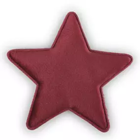 Sterne 6 Stk