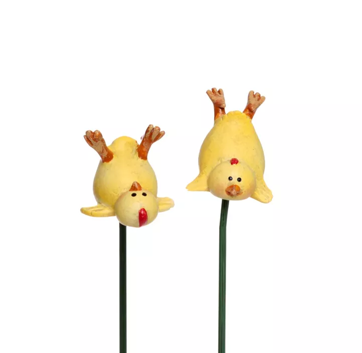 Stecker Kücken Stecker Kücken