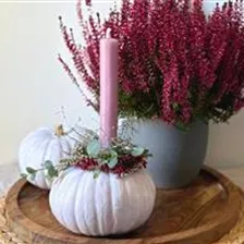 DIY Kürbis Kerzen Gesteck DIY Kürbis Kerzen Gesteck