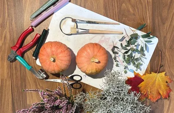 Bild Das brauchst du.jpg Bild Das brauchst du.jpg