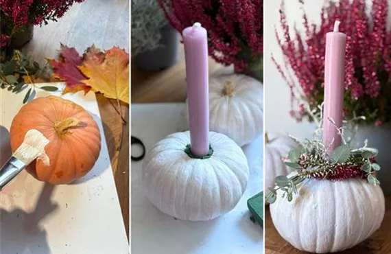 Bild So funktionierts.jpg Bild So funktionierts.jpg