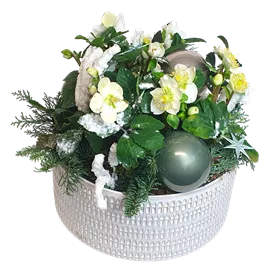 Arrangement Schneerose