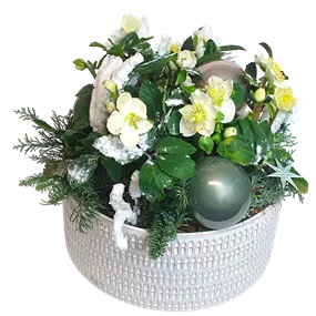 Arrangement Schneerose