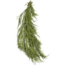 Cryptomeria Handbund