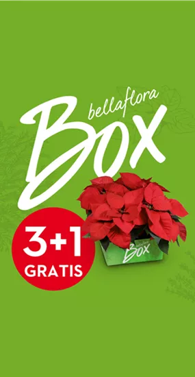 Advertisement Advertisement