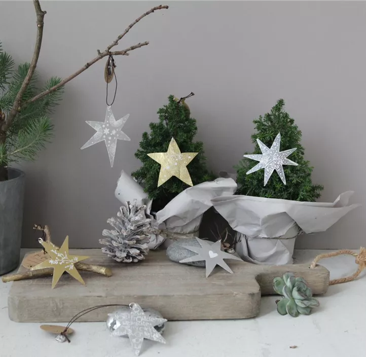 Capizsterne Capizsterne