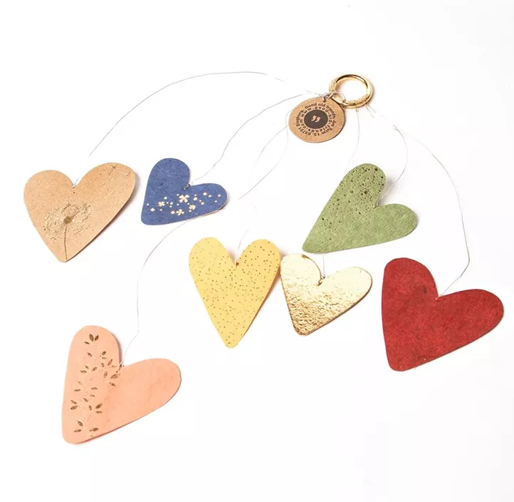 Kleiner Herzregen Kleiner Herzregen