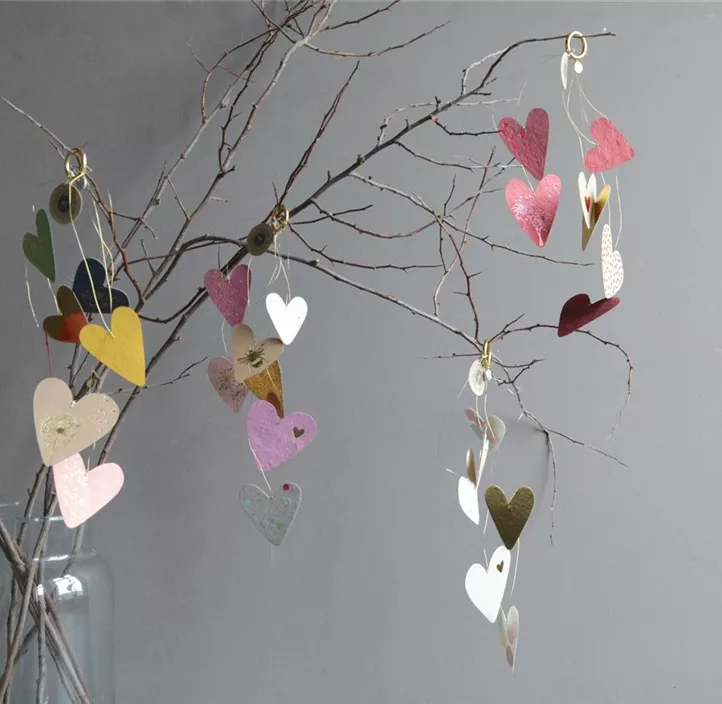 Kleiner Herzregen Kleiner Herzregen