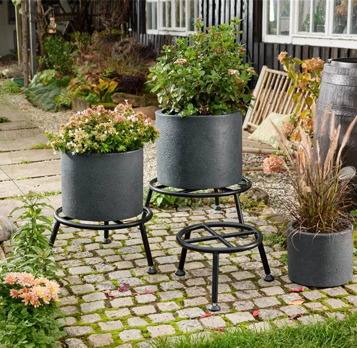 Pflanzenständer mit Verstellfüßen Pflanzenständer mit Verstellfüßen