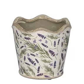 Topf Lavendel Wellenrand