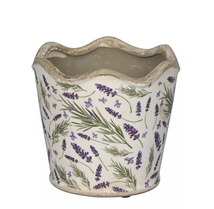 Topf Lavendel Wellenrand Topf Lavendel Wellenrand